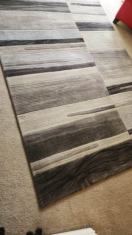 Area Rug - photo 4