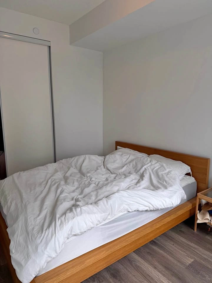 Ikea Queen Malm Bed Frame Low