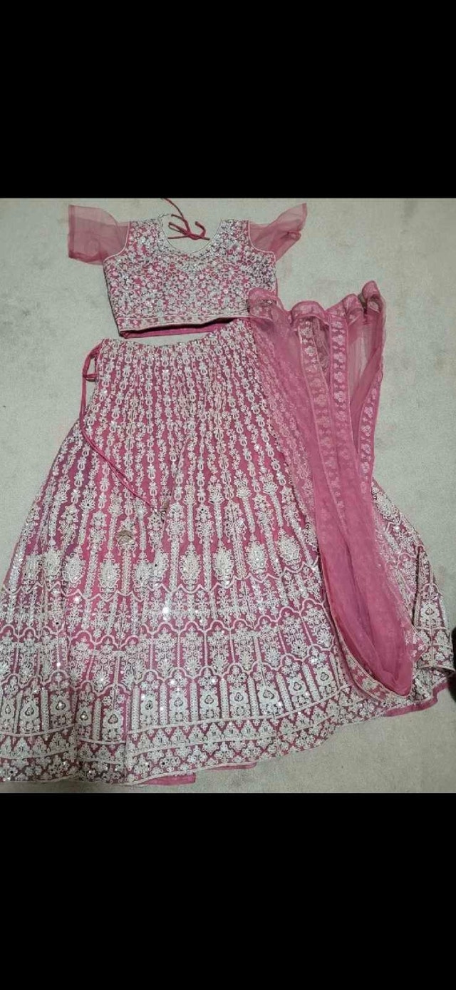 Lengha and blouse - photo 2