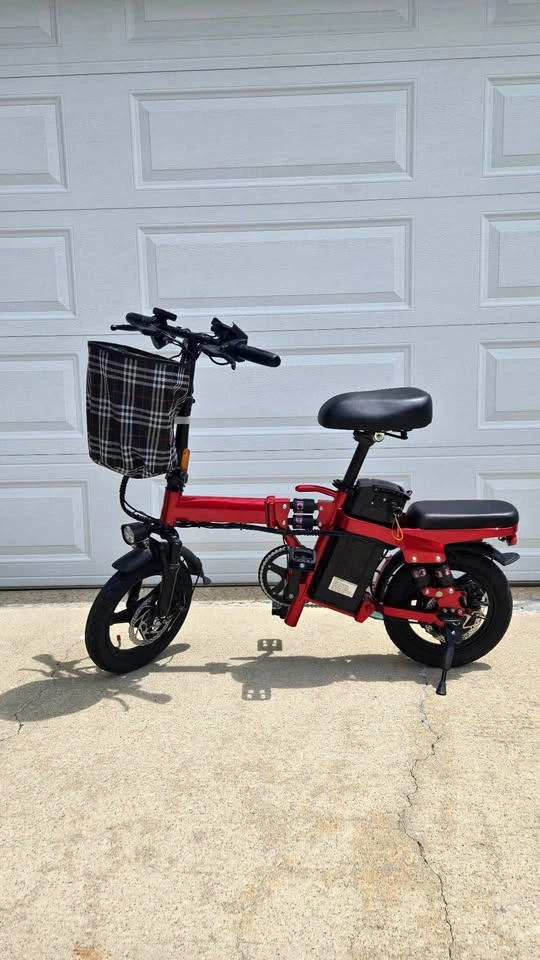 Folding Electric Bike