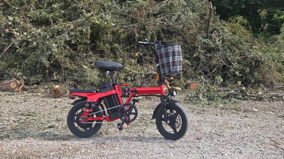 Folding Electric Bike - photo 3