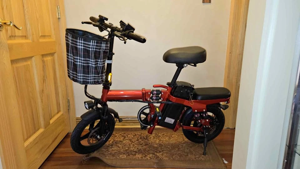 Folding Electric Bike