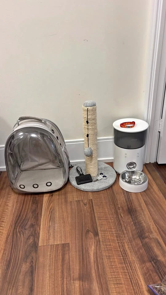 Cat Bundle – ORSDA Automatic Feeder, Scratching Post & More