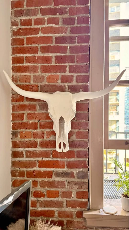 Large White Longhorn Skull - The Cross Design Yaletown