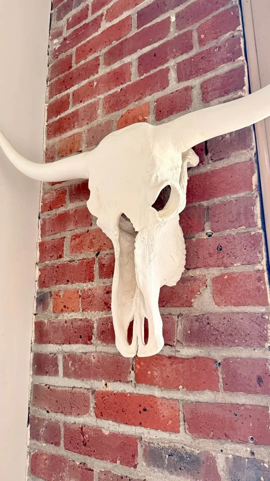 Large White Longhorn Skull - The Cross Design Yaletown - photo 2