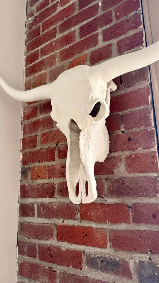 Large White Longhorn Skull - The Cross Design Yaletown - photo 3