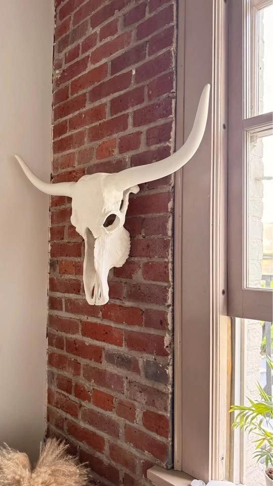 Large White Longhorn Skull - The Cross Design Yaletown - photo 4