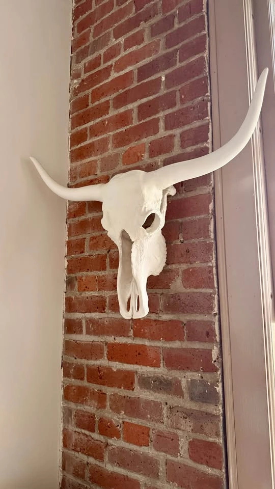 Large White Longhorn Skull - The Cross Design Yaletown - photo 5