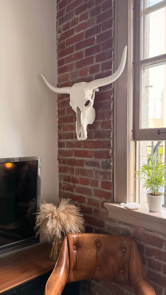Large White Longhorn Skull - The Cross Design Yaletown - photo 2