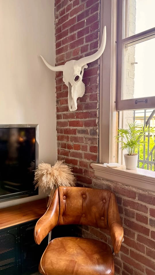 Large White Longhorn Skull - The Cross Design Yaletown
