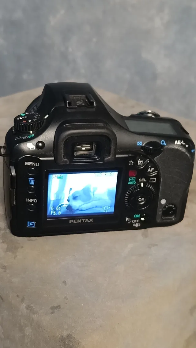 Pentax K10 ccd camera kit image indicator(4)