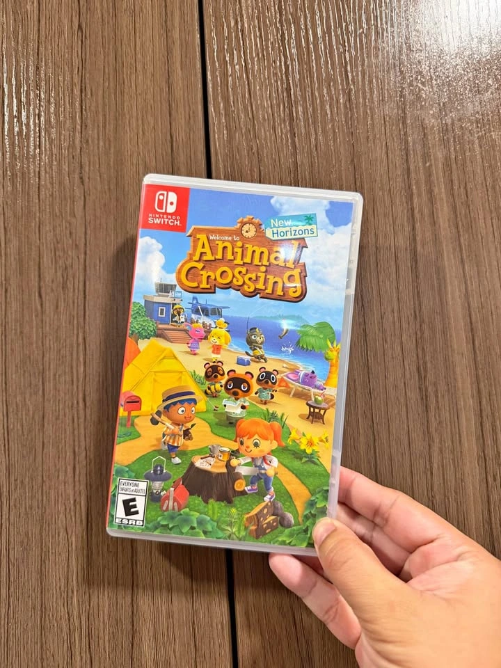 Animal Crossing New Horizons (Switch)