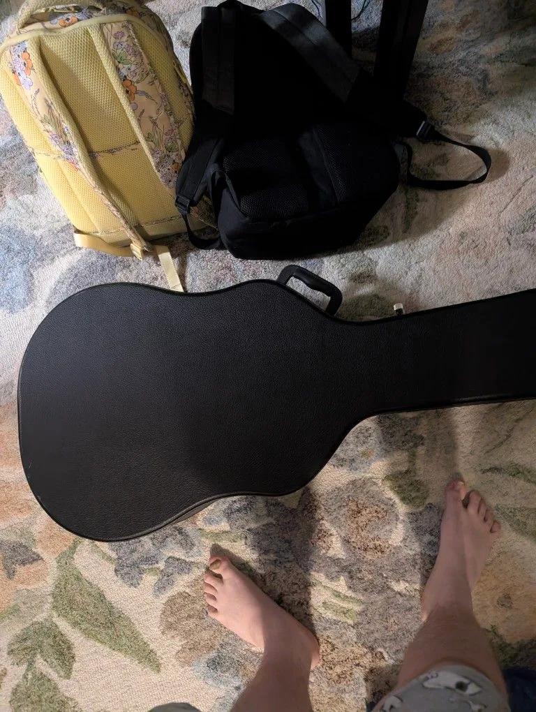 Fender Acoustic/Electric Guitar image indicator(2)