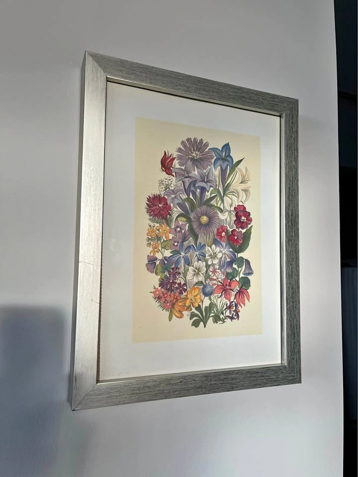 Botanical flowers print picture in silver wooden frame