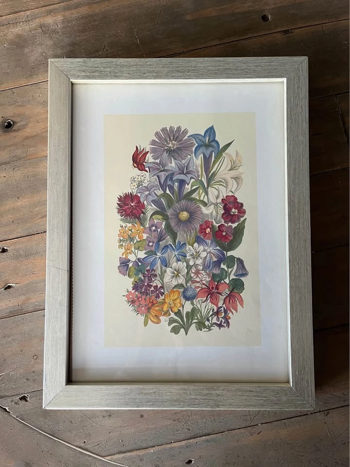 Botanical flowers print picture in silver wooden frame - photo 3