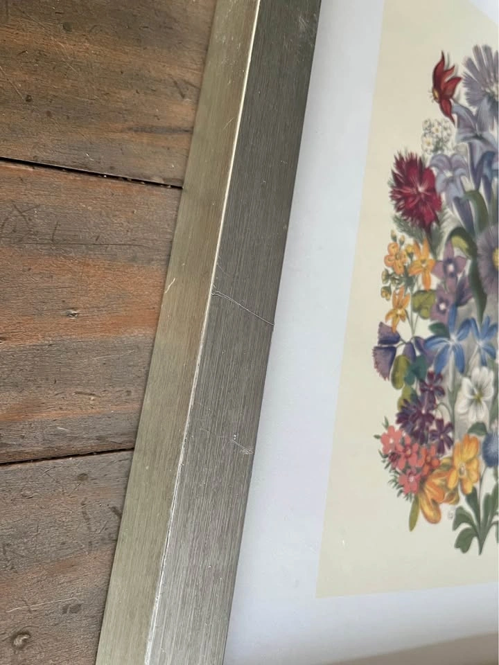 Botanical flowers print picture in silver wooden frame - photo 5