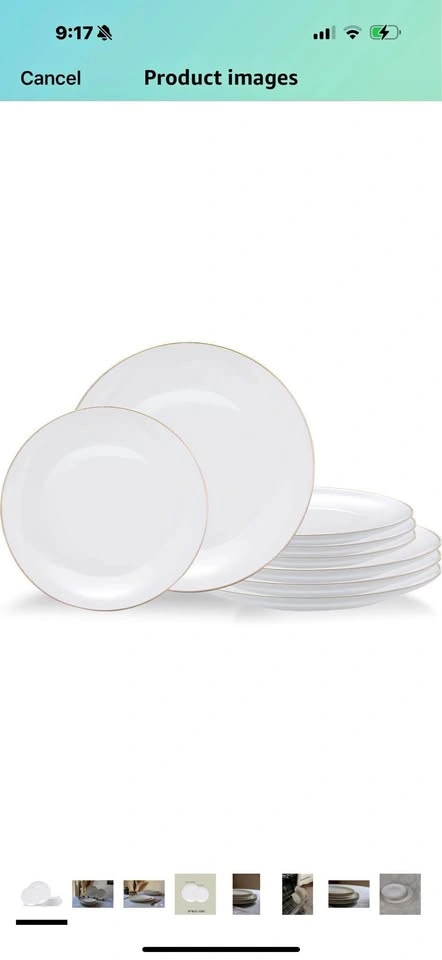 12 piece white gold rim ceramic plate set