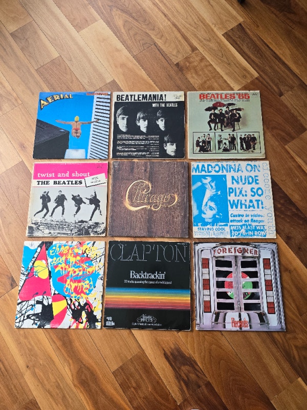 Vinyl Record Collection - photo 5