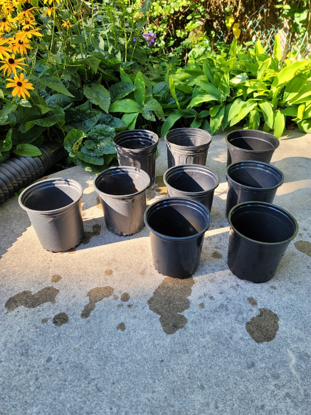 Variety of Quality Nursery Pots