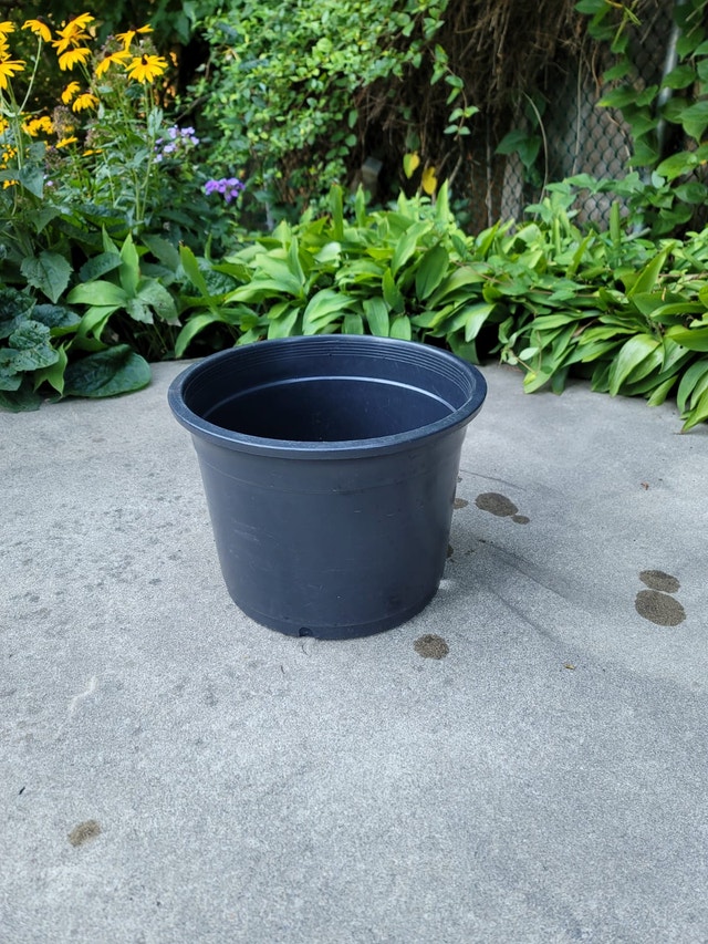 Variety of Quality Nursery Pots - photo 3