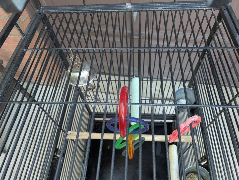 Bird Cage on wheels - photo 4
