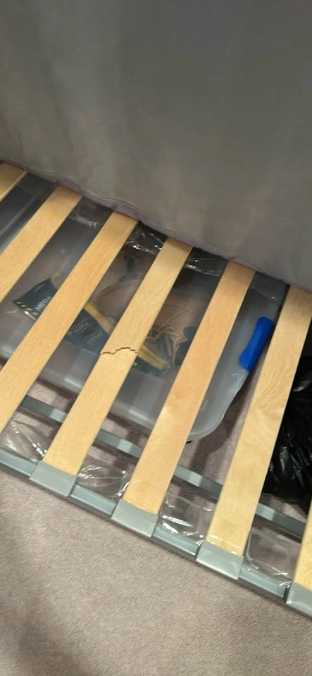 IKEA NYHAMN Futon Sofa Bed - photo 3