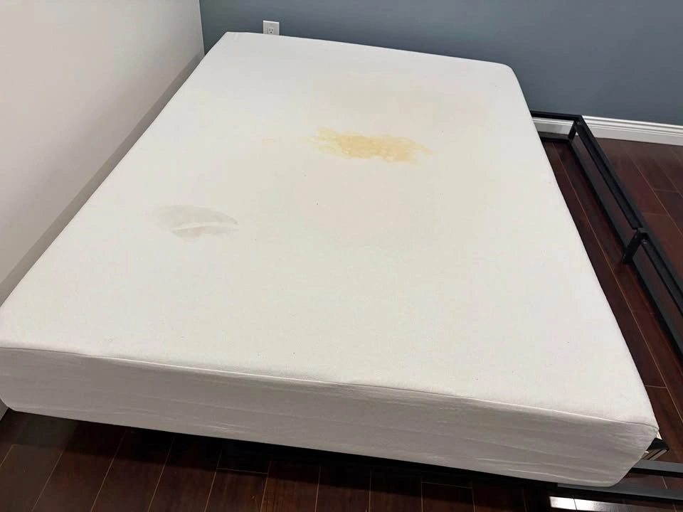 White Queen Mattress
