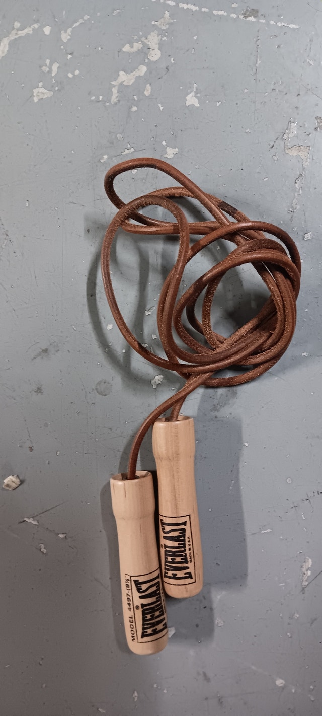 Skipping rope, Everlast, model-4497