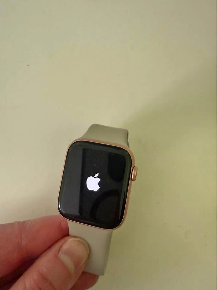 Apple Watch SE - 44mm 100% battery life
