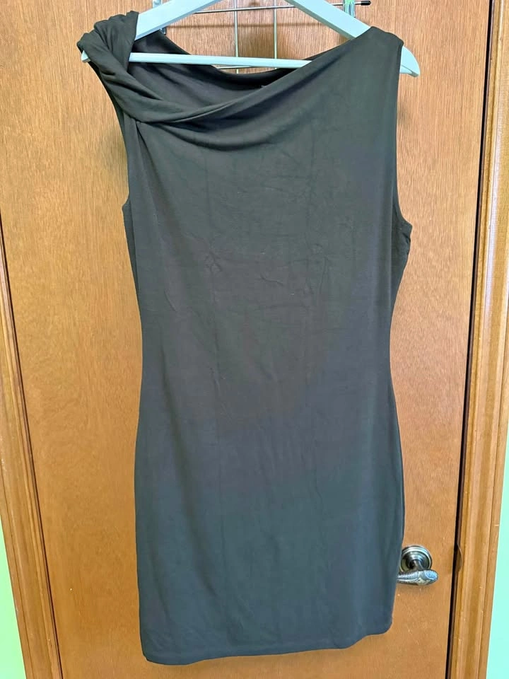 Babaton Dress - M