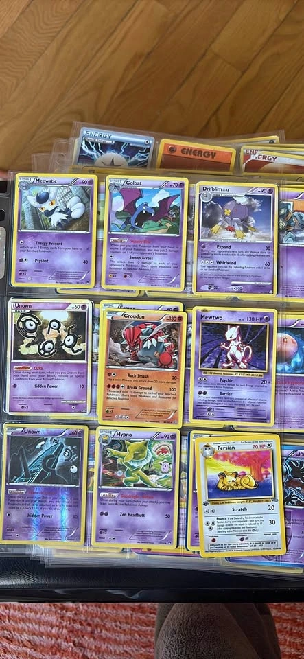 pokemon bulk binder with old cards