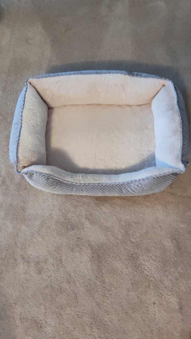 PetSmart Medium Size Dog Bed