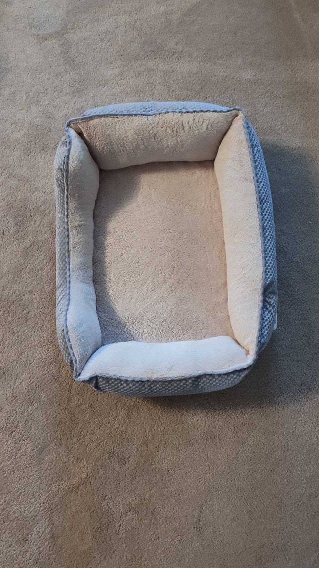 PetSmart Medium Size Dog Bed - photo 2