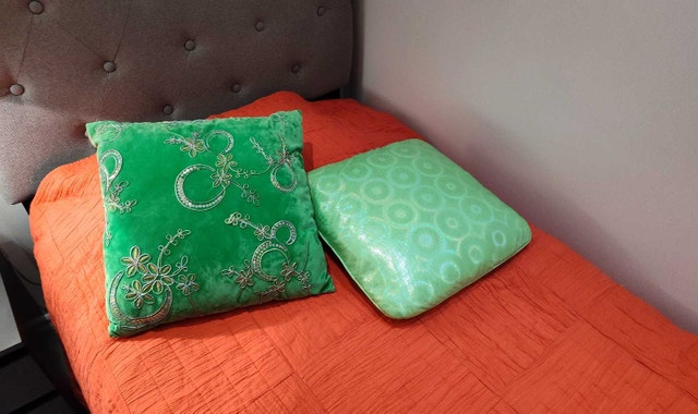 Vibrant Decorative Pillows