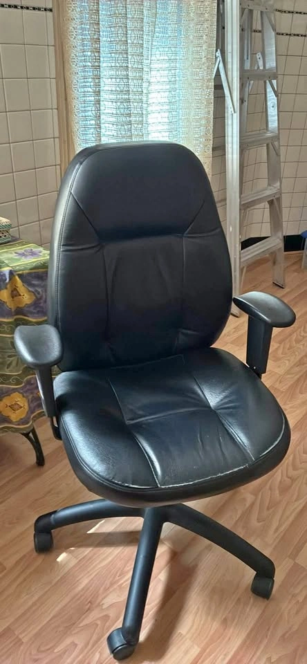 Desk/office chair