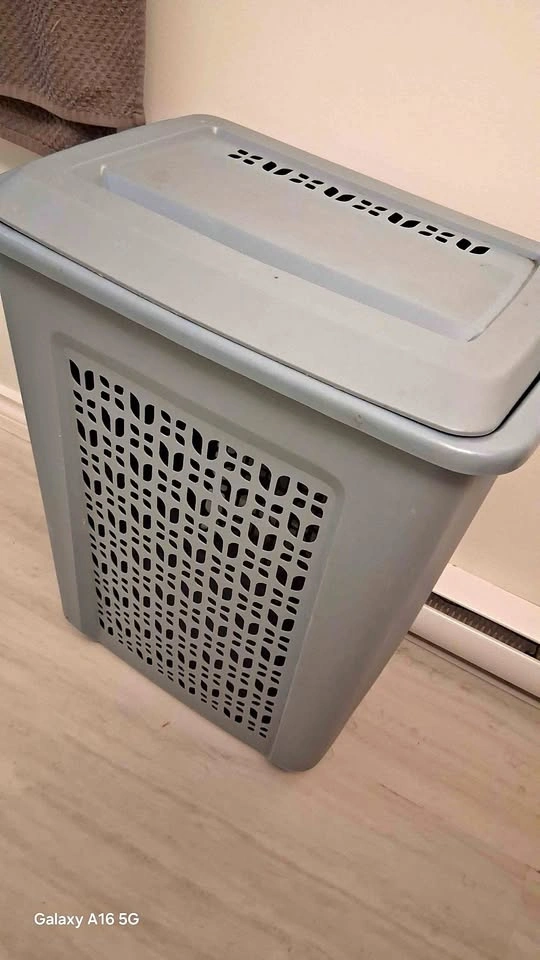 Blue Plastic Laundry Hamper