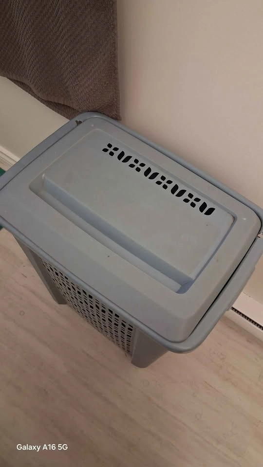 Blue Plastic Laundry Hamper - photo 2