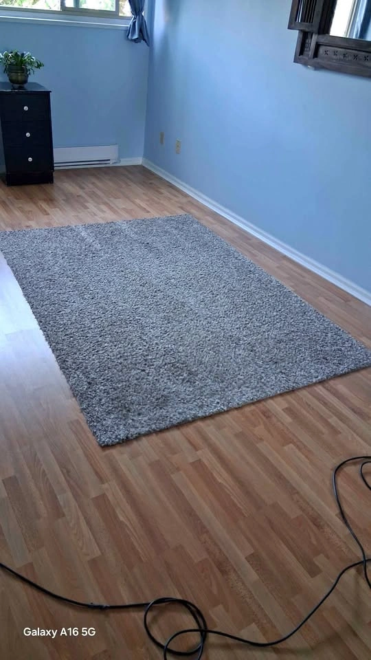 Soft Shag rug 5x7(Grey/Beige)