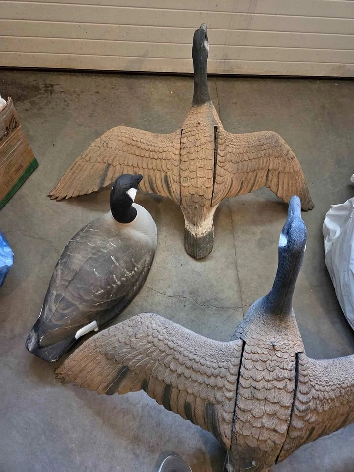 3 Decorative Canada Geese