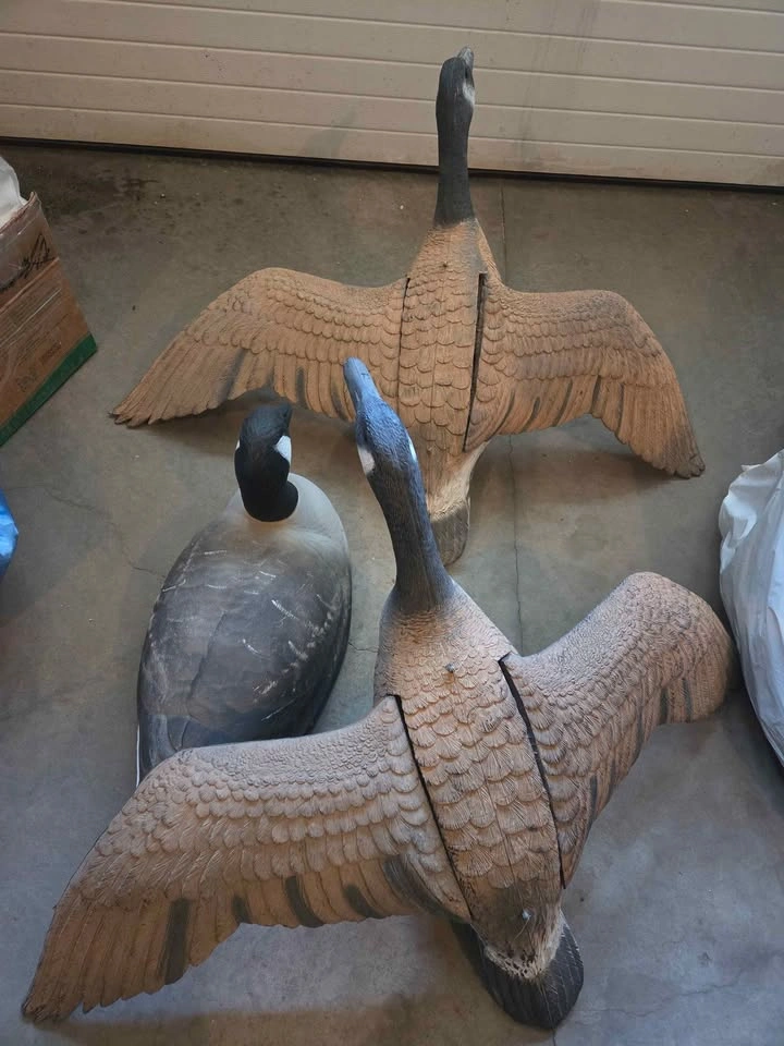 3 Decorative Canada Geese - photo 2