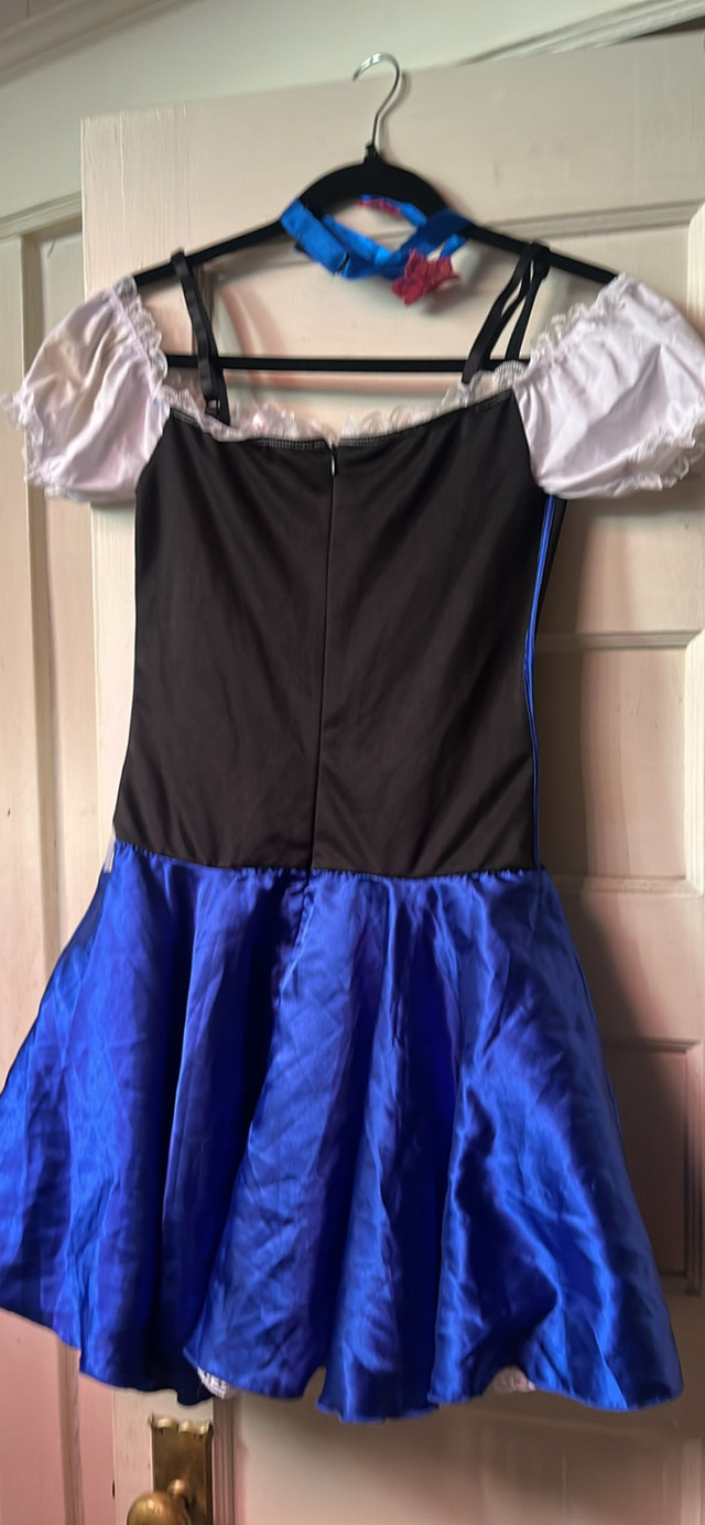 Oktoberfest Dirndl Dress Costume Size M - photo 3