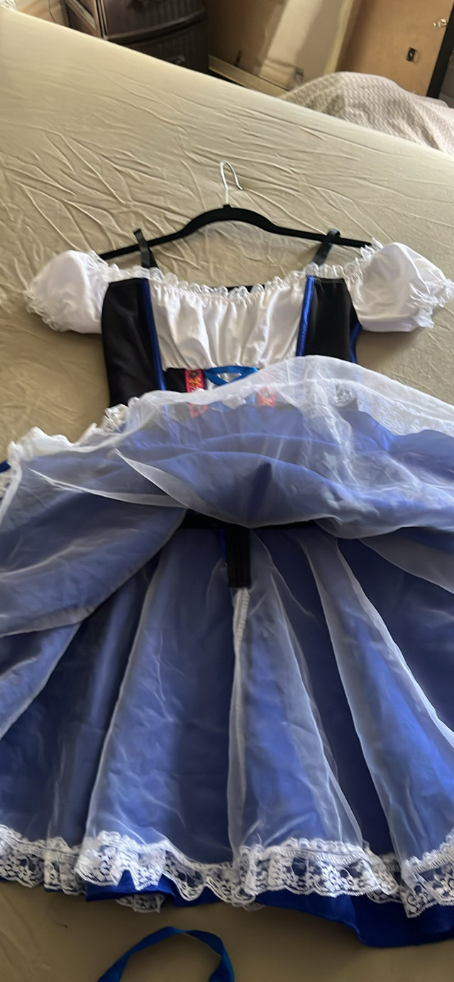 Oktoberfest Dirndl Dress Costume Size M - photo 5