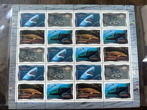 Vintage 1997 Canadian Ocean Fish & Shark Stamp Sheet