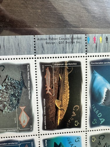 Vintage 1997 Canadian Ocean Fish & Shark Stamp Sheet - photo 2