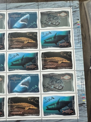 Vintage 1997 Canadian Ocean Fish & Shark Stamp Sheet - photo 3