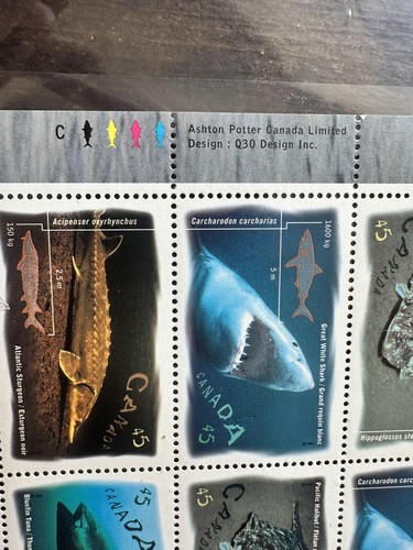 Vintage 1997 Canadian Ocean Fish & Shark Stamp Sheet - photo 4