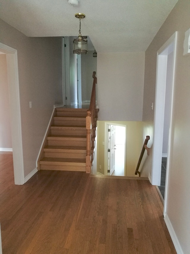 Bright & Spacious 3-Bedroom Family Home for Rent - photo 5