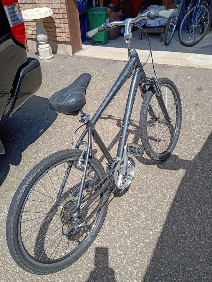 Giant Sedona Hybrid Bike (Medium/Large 18" Frame)