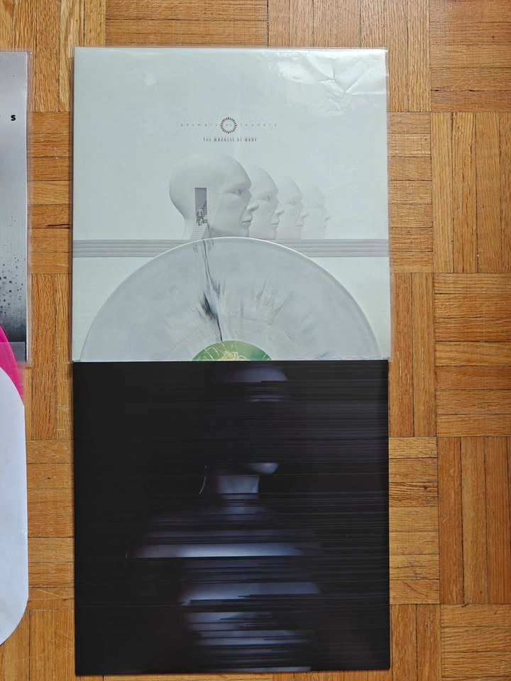 Animals as Leaders Vinyl — Self-Titled, Weightless, The Madness - photo 4