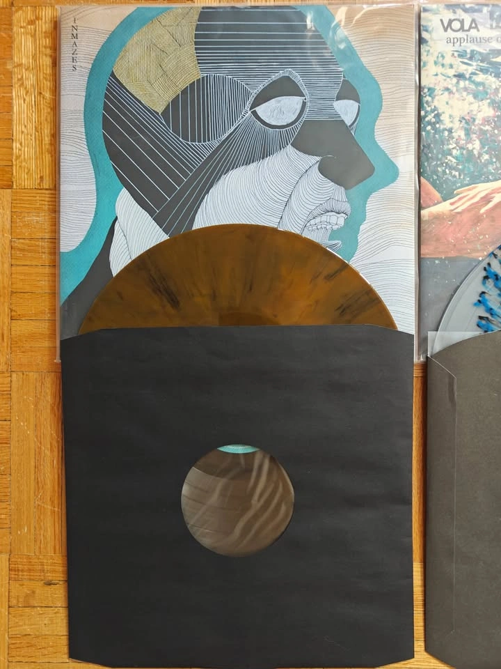 VOLA Vinyl Records Lot — Inmazes, Applause, Witness, Friend of a - photo 3